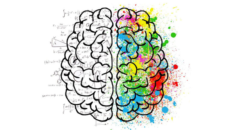 10 Facts About Your Brain You Didn`t Know | Brainwave Science